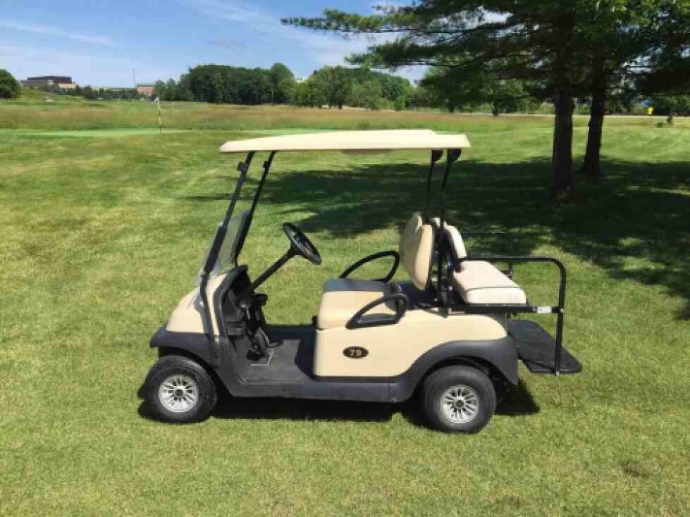 4 Person Cart